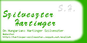 szilveszter hartinger business card